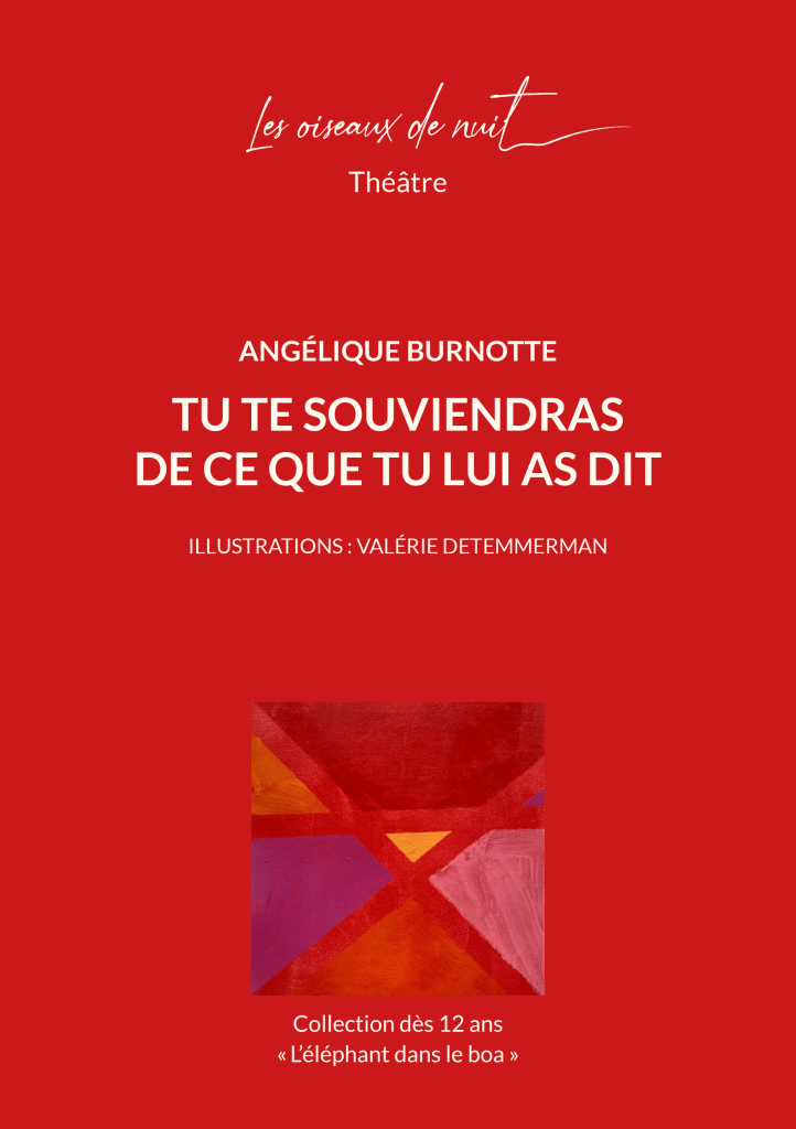 Les oiseaux de nuit éditions. Pièce de théâtre belge francophone, Tu te souviendras de ce que tu lui as dit, d'Angélique Burnotte, couverture 1.