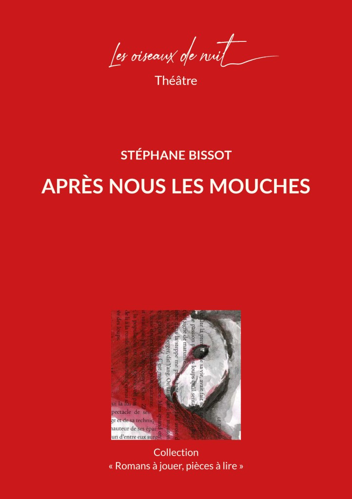 Les oiseaux de nuit éditions. Pièce de théâtre belge francophone, Le fils de Don Quichotte de Anne Sylvain, couverture 1.